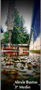 Captura de Pantalla 2022-06-05 a la(s) 17.24.49