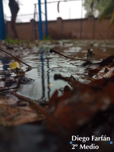 Captura de Pantalla 2022-06-05 a la(s) 17.25.43