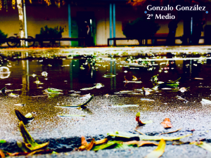 Captura de Pantalla 2022-06-05 a la(s) 17.27.07