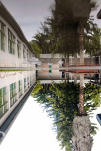 Captura de Pantalla 2022-06-05 a la(s) 17.27.43