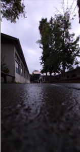 Captura de Pantalla 2022-06-05 a la(s) 17.28.45