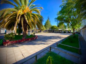 CapturadePantalla2022-04-15alas122248